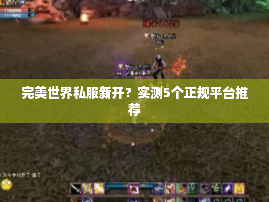 完美世界私服新开?实测5个正规平台推荐 完美世界私服新开?实测5个正规平台推荐