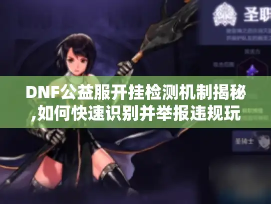 DNF公益服开挂检测机制揭秘,如何快速识别并举报违规玩家
