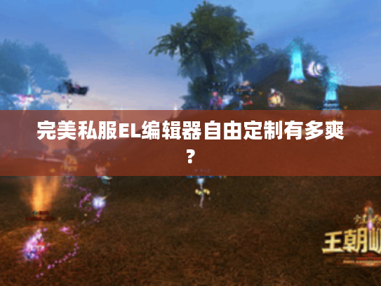 完美私服EL编辑器自由定制有多爽?