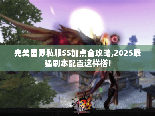 完美国际私服SS加点全攻略,2025最强刷本配置这样搭!