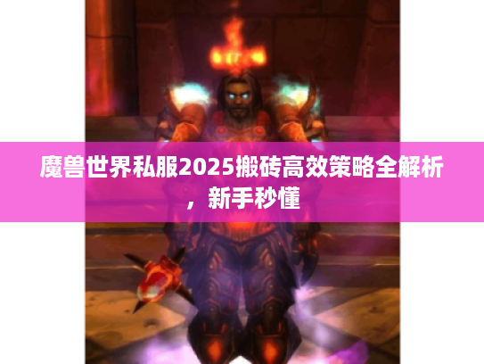 魔兽世界私服2025搬砖高效策略全解析，新手秒懂