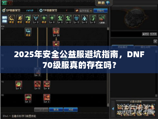 2025年安全公益服避坑指南，DNF70级服真的存在吗？