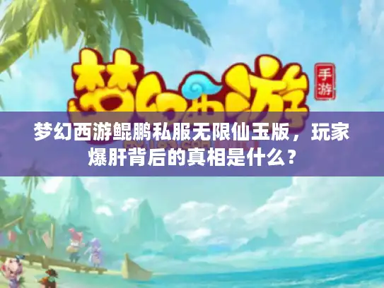 梦幻西游鲲鹏私服无限仙玉版，玩家爆肝背后的真相是什么？