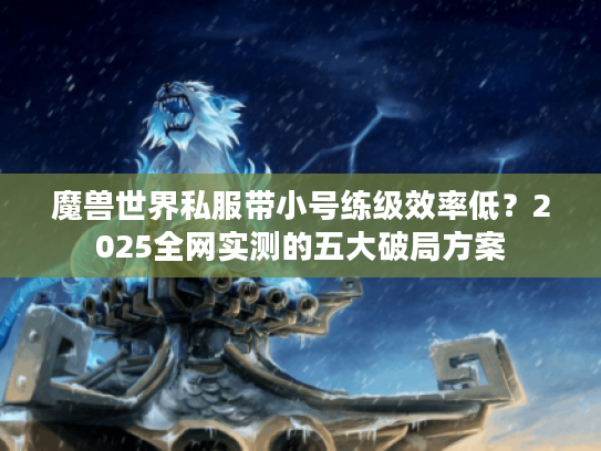 魔兽世界私服带小号练级效率低？2025全网实测的五大破局方案