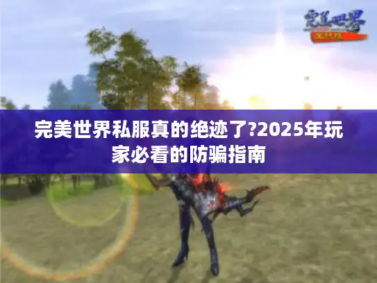 完美世界私服真的绝迹了?2025年玩家必看的防骗指南