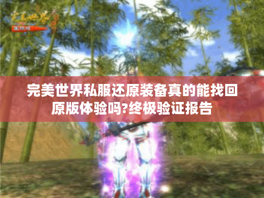 完美世界私服还原装备真的能找回原版体验吗?终极验证报告