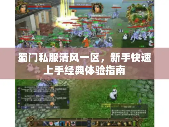 蜀门私服清风一区，新手快速上手经典体验指南