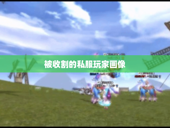 被收割的私服玩家画像 被收割的私服玩家画像