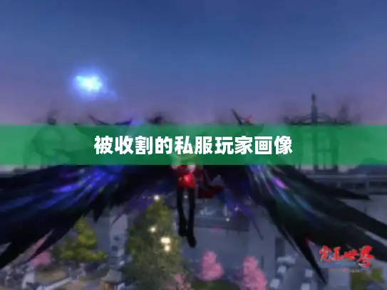 被收割的私服玩家画像 被收割的私服玩家画像