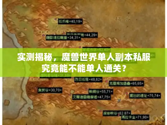 实测揭秘，魔兽世界单人副本私服究竟能不能单人通关？