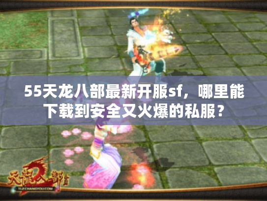 55天龙八部最新开服sf，哪里能下载到安全又火爆的私服？