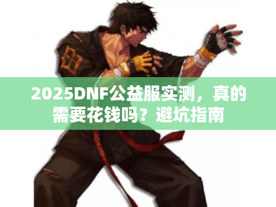 2025DNF公益服实测，真的需要花钱吗？避坑指南