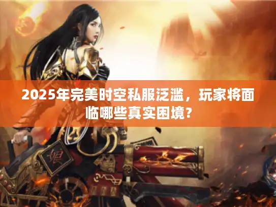 2025年完美时空私服泛滥，玩家将面临哪些真实困境？