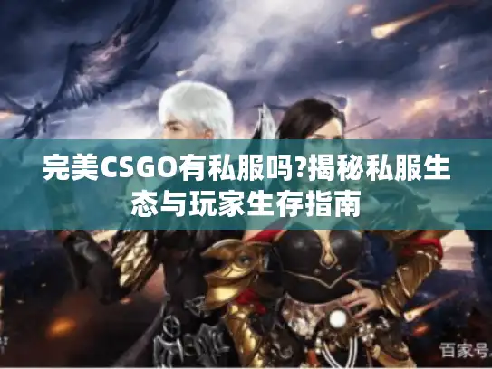 完美CSGO有私服吗?揭秘私服生态与玩家生存指南