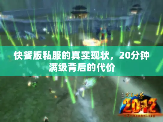 快餐版私服的真实现状，20分钟满级背后的代价