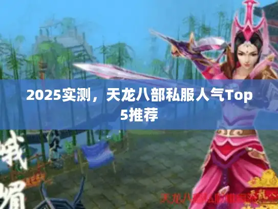 2025实测，天龙八部私服人气Top5推荐