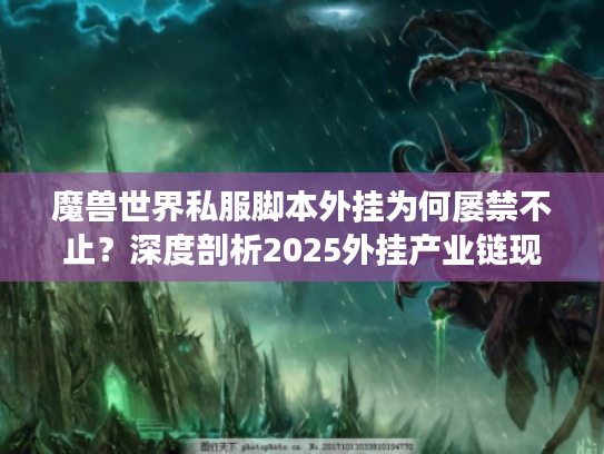 魔兽世界私服脚本外挂为何屡禁不止？深度剖析2025外挂产业链现状