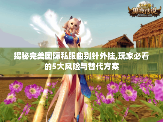 揭秘完美国际私服曲别针外挂,玩家必看的5大风险与替代方案