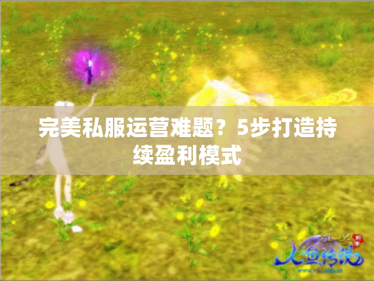 完美私服运营难题？5步打造持续盈利模式