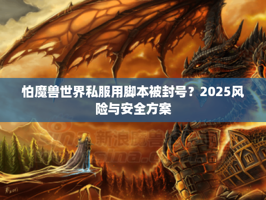 怕魔兽世界私服用脚本被封号？2025风险与安全方案