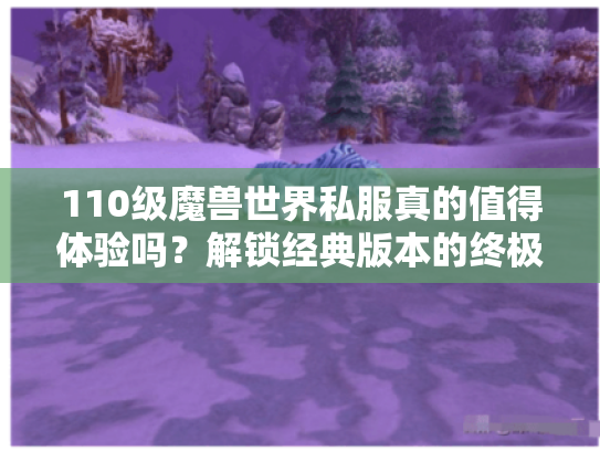 110级魔兽世界私服真的值得体验吗？解锁经典版本的终极方案