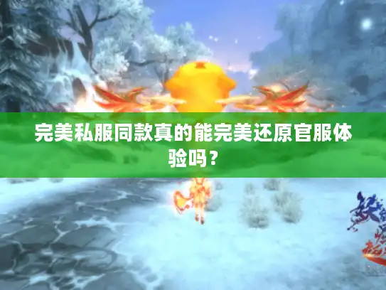 完美私服同款真的能完美还原官服体验吗？