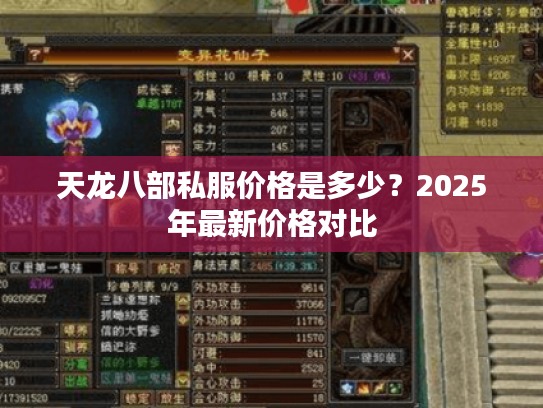 天龙八部私服价格是多少？2025年最新价格对比