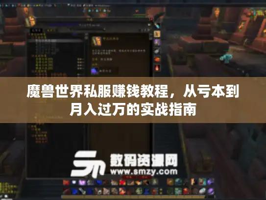 魔兽世界私服赚钱教程,从亏本到月入过万的实战指南 魔兽世界私服赚钱教程,从亏本到月入过万的实战指南