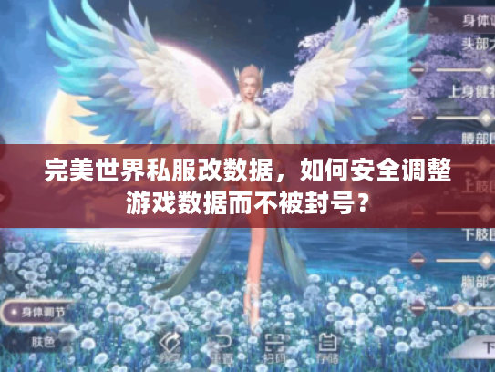 完美世界私服改数据，如何安全调整游戏数据而不被封号？