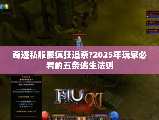 奇迹私服被疯狂追杀?2025年玩家必看的五条逃生法则