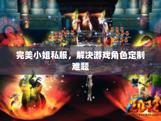 完美小姐私服，解决游戏角色定制难题