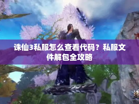 诛仙3私服怎么查看代码？私服文件解包全攻略