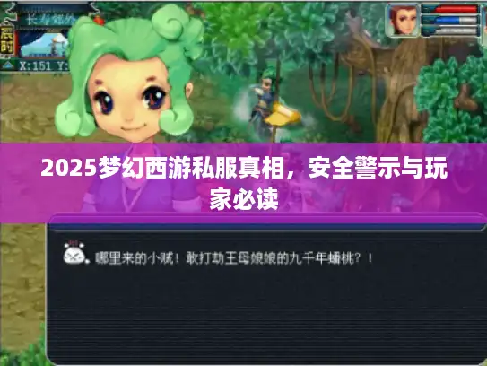 2025梦幻西游私服真相,安全警示与玩家必读 2025梦幻西游私服真相,安全警示与玩家必读