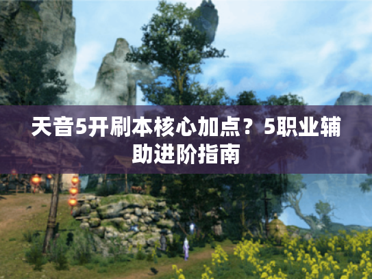 天音5开刷本核心加点？5职业辅助进阶指南