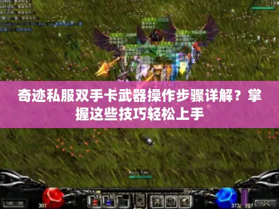 奇迹私服双手卡武器操作步骤详解？掌握这些技巧轻松上手