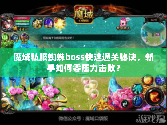 魔域私服蜘蛛boss快速通关秘诀，新手如何零压力击败？