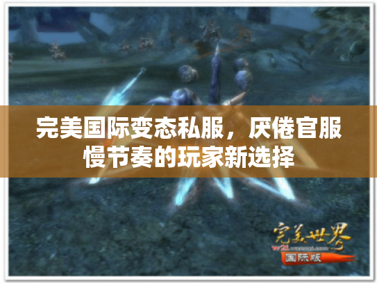 完美国际变态私服，厌倦官服慢节奏的玩家新选择