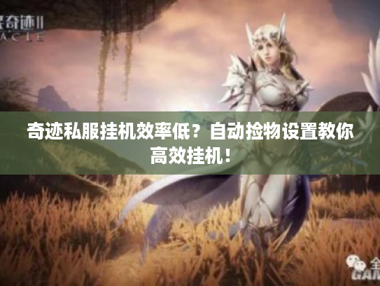 奇迹私服挂机效率低？自动捡物设置教你高效挂机！