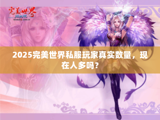 2025完美世界私服玩家真实数量，现在人多吗？