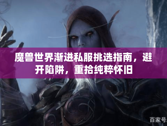 魔兽世界渐进私服挑选指南，避开陷阱，重拾纯粹怀旧