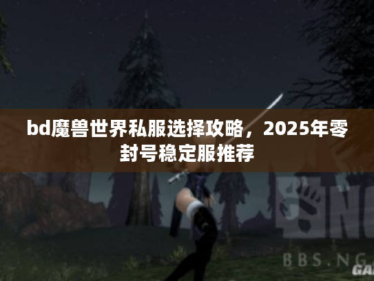 bd魔兽世界私服选择攻略，2025年零封号稳定服推荐