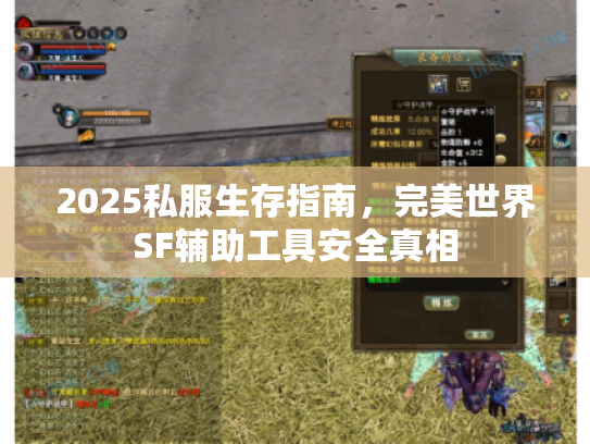 2025私服生存指南,完美世界SF辅助工具安全真相 2025私服生存指南,完美世界SF辅助工具安全真相