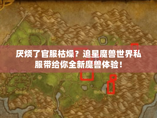 厌烦了官服枯燥？追星魔兽世界私服带给你全新魔兽体验！