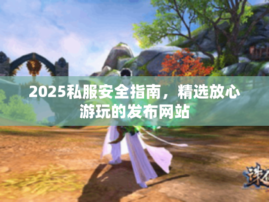 2025私服安全指南，精选放心游玩的发布网站