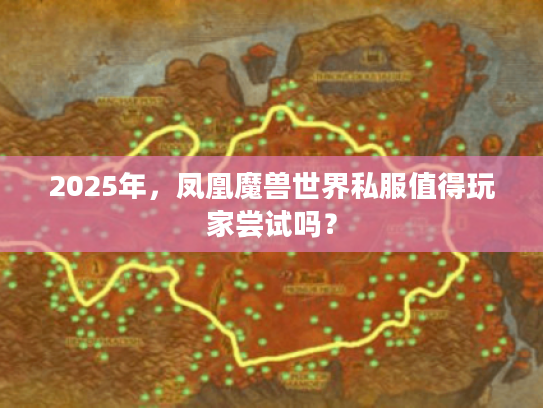 2025年，凤凰魔兽世界私服值得玩家尝试吗？