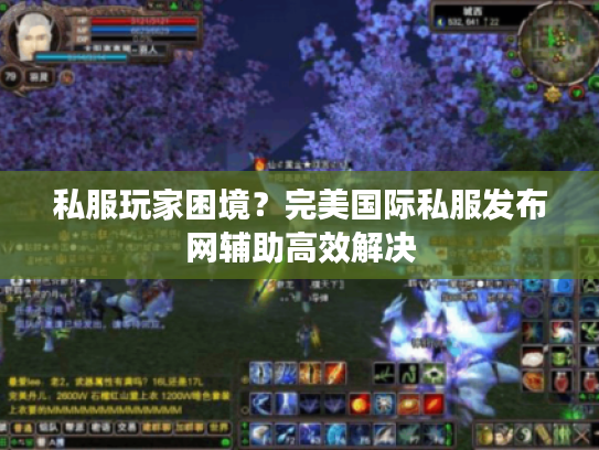 私服玩家困境？完美国际私服发布网辅助高效解决
