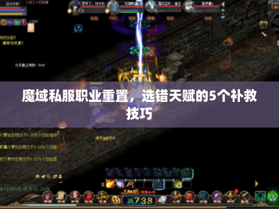 魔域私服职业重置,选错天赋的5个补救技巧 魔域私服职业重置,选错天赋的5个补救技巧