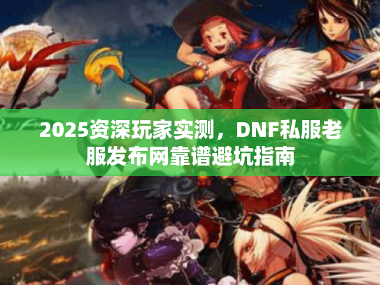 2025资深玩家实测，DNF私服老服发布网靠谱避坑指南