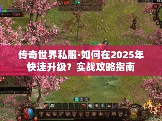 传奇世界私服·如何在2025年快速升级？实战攻略指南
