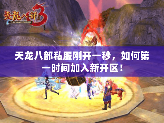 天龙八部私服刚开一秒,如何第一时间加入新开区! 天龙八部私服刚开一秒,如何第一时间加入新开区!